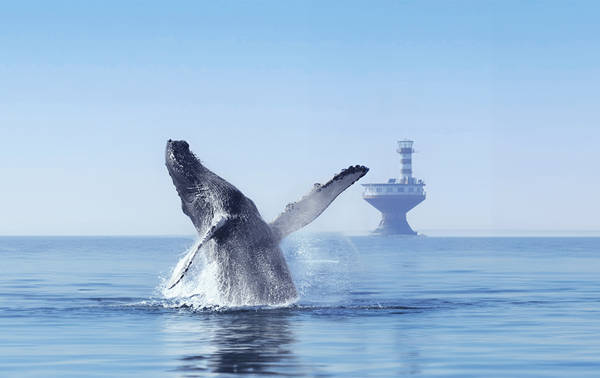 Une baleine émerge de la surface de l'océan, sa queue et ses nageoires visibles, provoquant des éclaboussures. En arrière-plan, un phare se dresse sur l'eau. Le ciel est clair et la mer est calme.