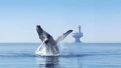 A whale breaches the ocean surface, with its tail and fins visible, creating splashes. In the background, a lighthouse stands on the water. The sky is clear, and the sea is calm.