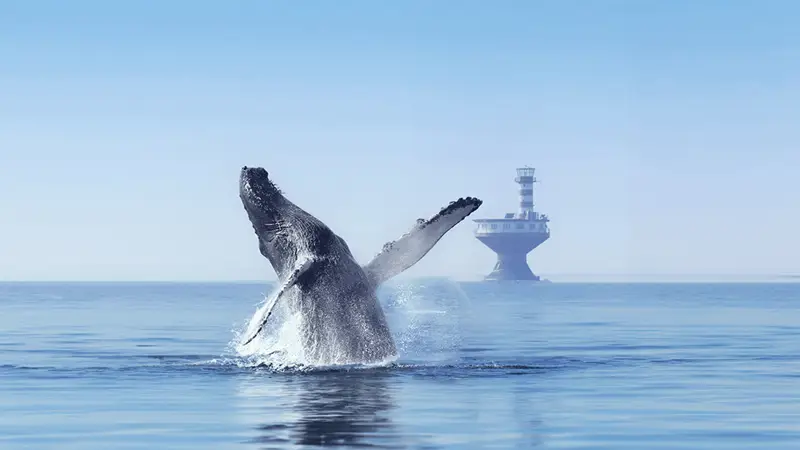 A whale breaches the ocean surface, with its tail and fins visible, creating splashes. In the background, a lighthouse stands on the water. The sky is clear, and the sea is calm.