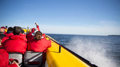  Passengers during the zodiac cruise