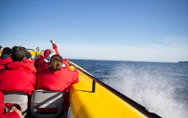  Passengers during the zodiac cruise