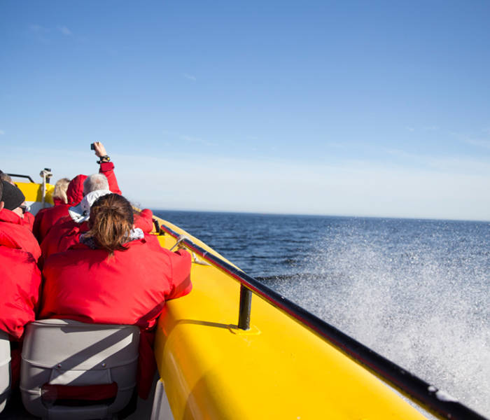 Passagers durant la croisière en zodiac