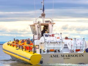 Croisière Aux Baleines Zodiac Expédition 2h30 à Tadoussac | Croisières AML