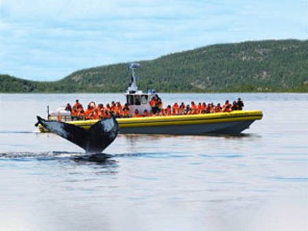 Excursion en zodiac