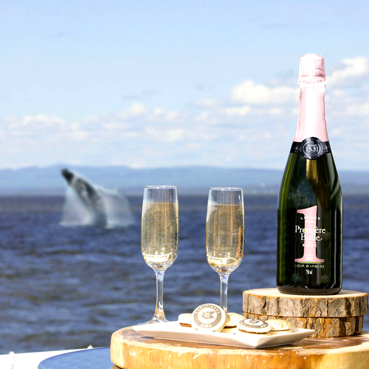 Croisière Aux Baleines En Bateau | Groupes Et événements | Croisières AML