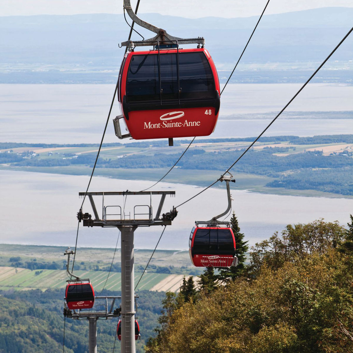 Excursion d une demi journ e au Mont Sainte Anne et t l cabine