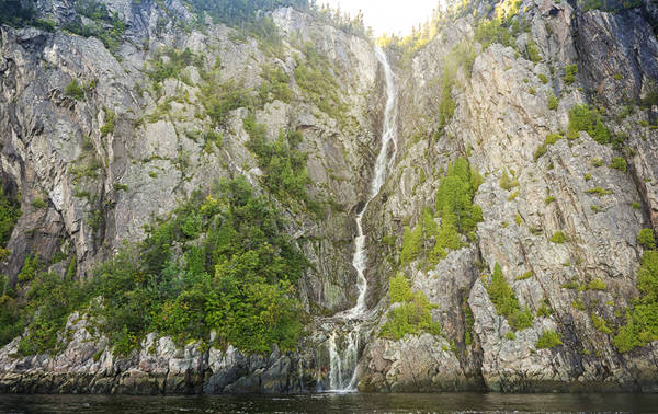 Une haute cascade dévale une falaise escarpée et rocheuse, entourée d'une végétation luxuriante et verdoyante. L'eau s'écoule dans un bassin calme à la base, tandis que la lumière du soleil éclaire le sommet de la falaise.