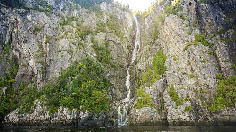 Une haute cascade dévale une falaise escarpée et rocheuse, entourée d'une végétation luxuriante et verdoyante. L'eau s'écoule dans un bassin calme à la base, tandis que la lumière du soleil éclaire le sommet de la falaise.