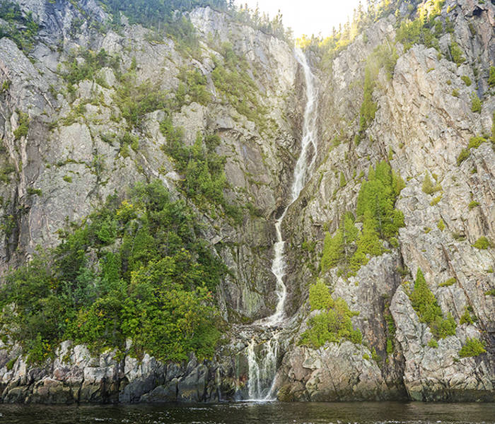 Une haute cascade dévale une falaise escarpée et rocheuse, entourée d'une végétation luxuriante et verdoyante. L'eau s'écoule dans un bassin calme à la base, tandis que la lumière du soleil éclaire le sommet de la falaise.