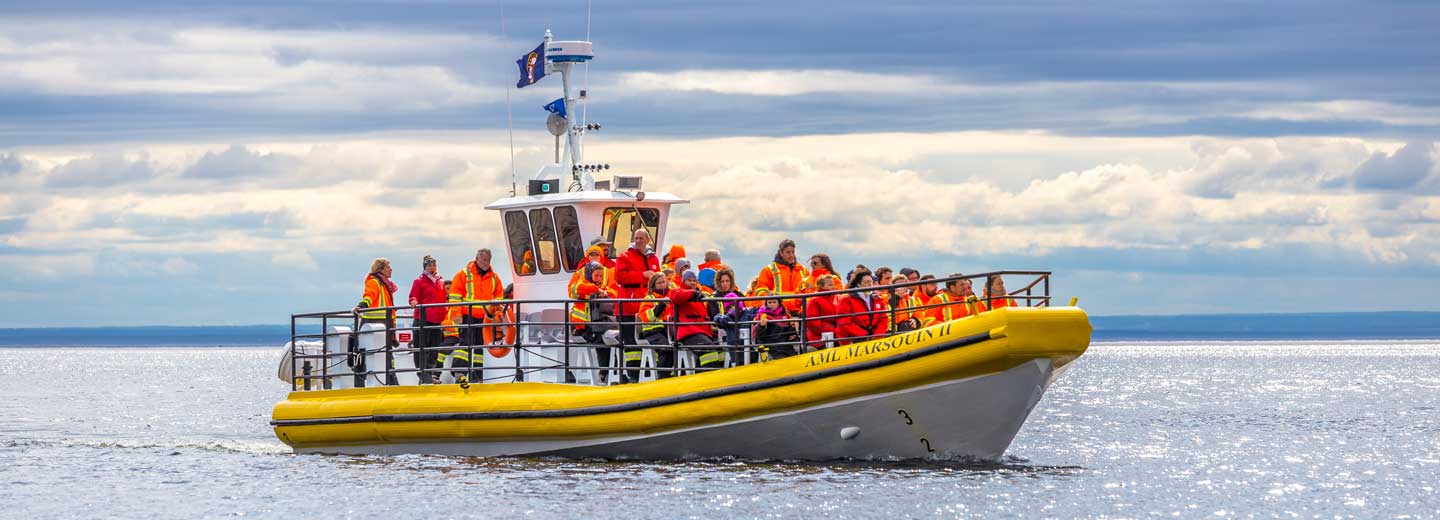 Zodiac Boat AML Cruises