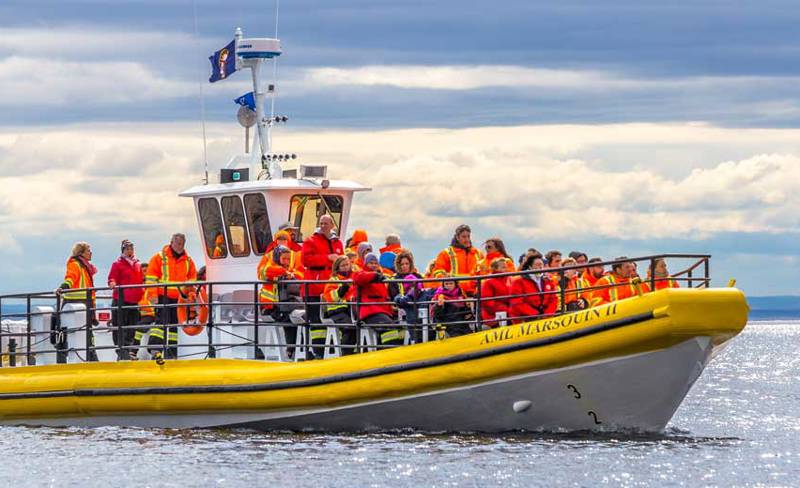  Zodiac 24 passengers offshore