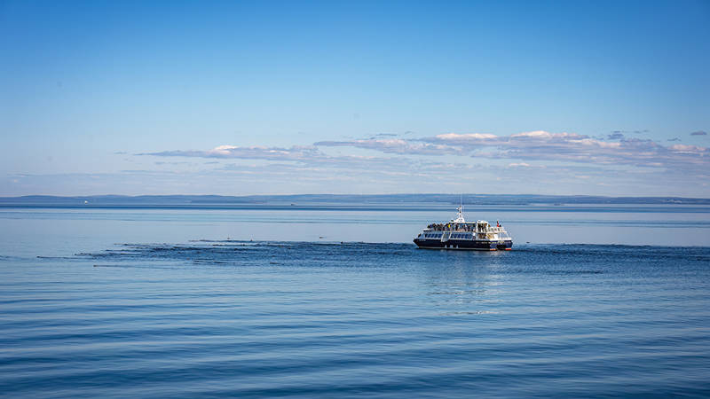 Un ferry navigue sur une mer calme et bleue sous un ciel dégagé. L’horizon est visible au loin, et l’eau reflète la teinte du ciel. Un cercle discret est marqué sur l’eau, suggérant peut-être un point d’intérêt ou une zone particulière à observer.