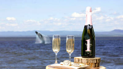  Glasses of champain with whale jumping in the background