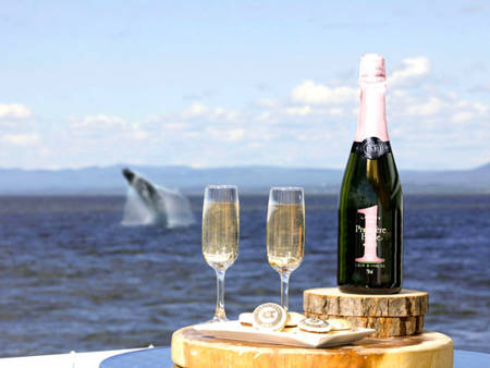 Verres de bulles avec saut de baleine en arrière plan