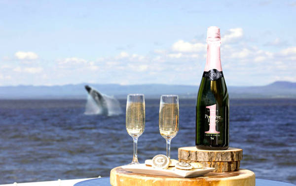 Verres de bulles avec saut de baleine en arrière plan