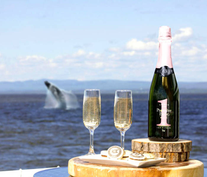  Glasses of champain with whale jumping in the background