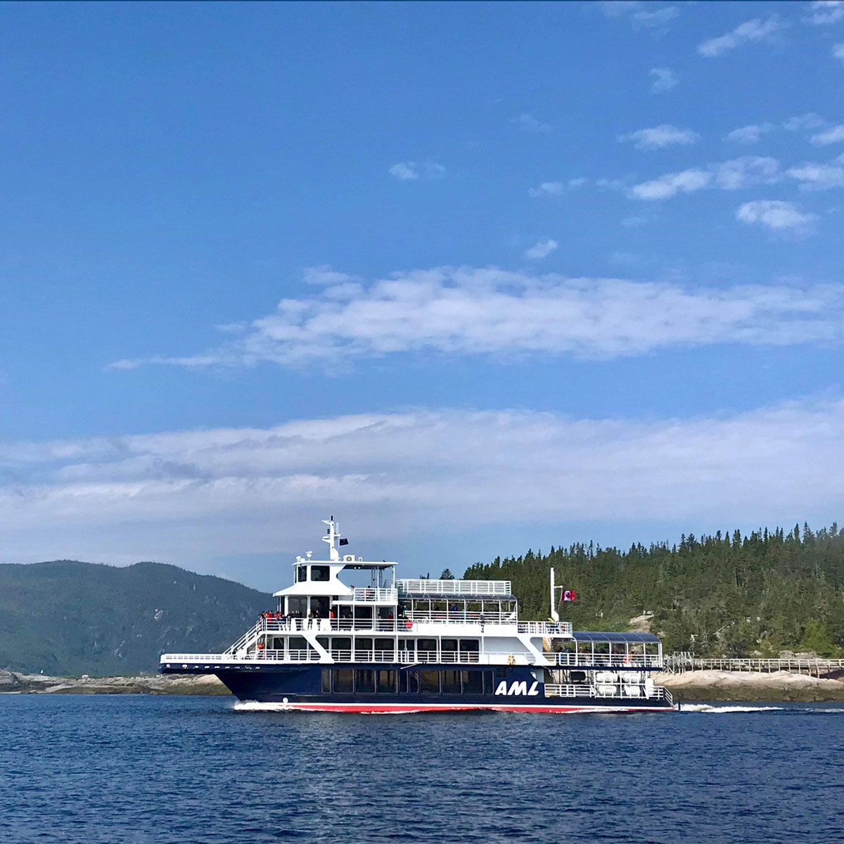 Croisière Aux Baleines Et Accès Exclusif Au Pont Supérieur Dans Charlevoix