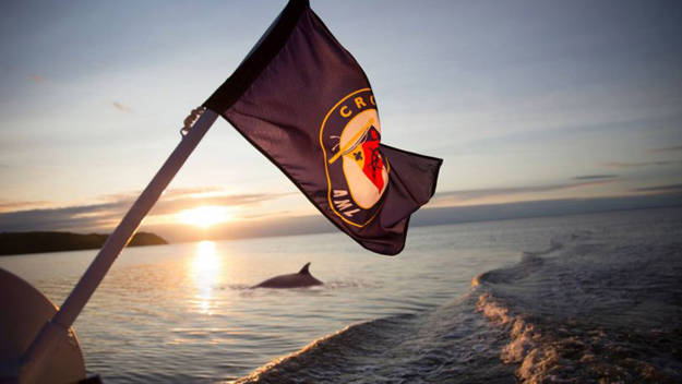 Drapeau Croisières AML avec dos de baleine